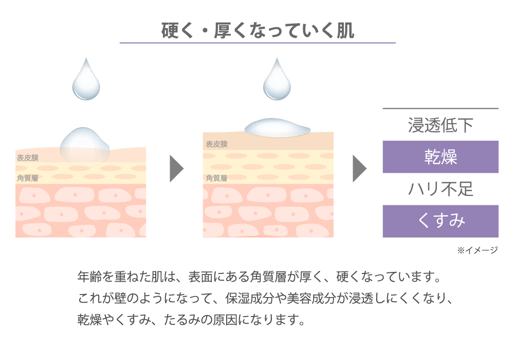 硬く厚くなっていく肌は、壁のようになって、保湿成分や美容成分が浸透しにくくなります