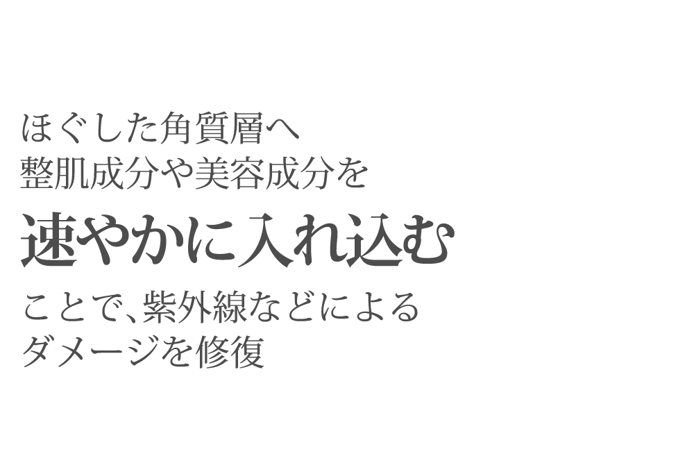 整肌成分や美容成分を速やかに入れ込む