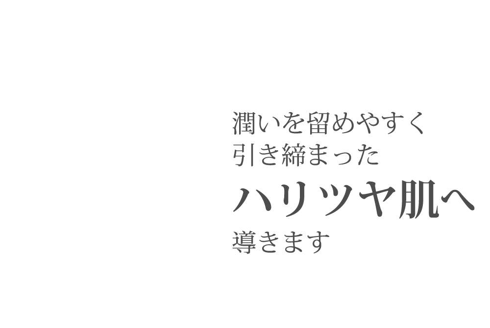 整肌成分や美容成分を速やかに入れ込む