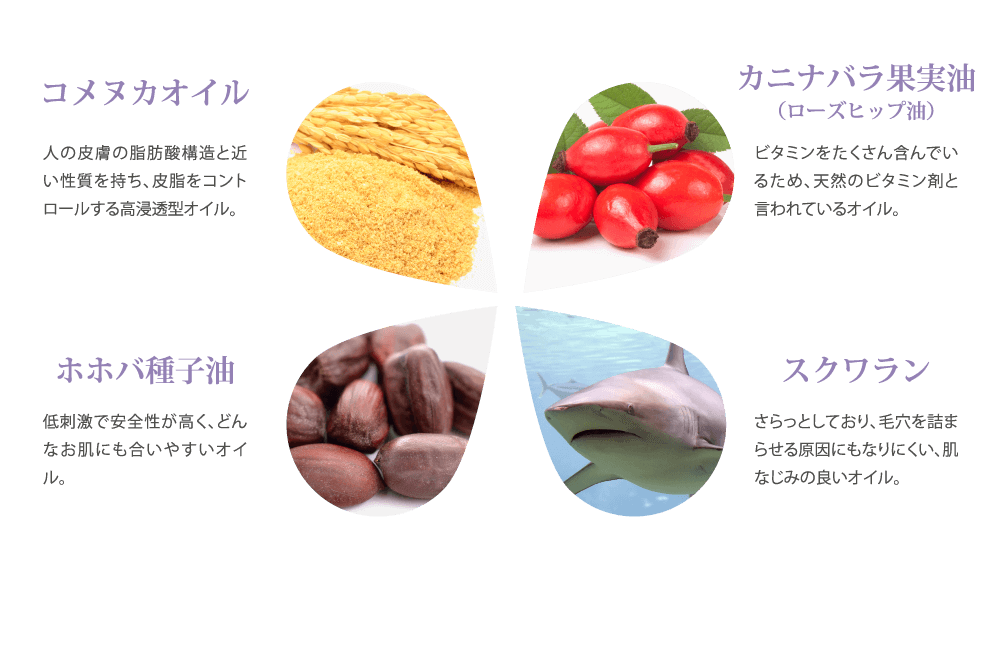 コメヌカオイル カニナバラ果実油 ホホバオイル